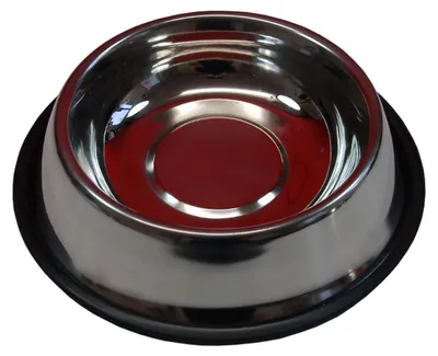 Image de Gamelle pour chien en acier inoxydable 22 cm