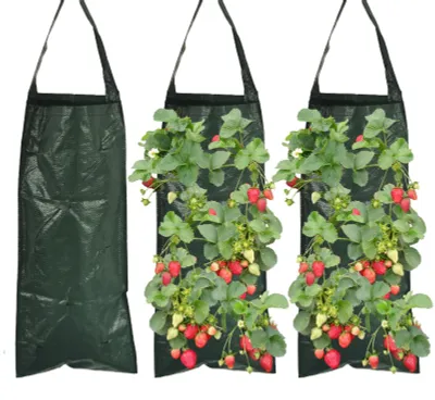 Productafbeelding van 3 Stuks Hangende Plantenzakken - Voor Aardbeien en Groenten