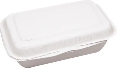 Image de NATUREStar 41224Menüboxen mit Klappdeckel quadratisch 230 x 230 x 85 mm Zuckerrohr weiß Volumen 1300 ml