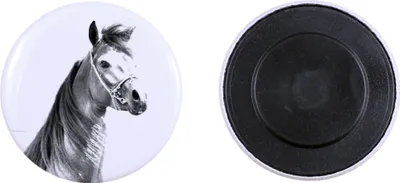 Produktbild von Arabisches Pferd - Magnet mit Pferd, ein einzigartiges Abdruck des Pferdes der Marke Art-Dog