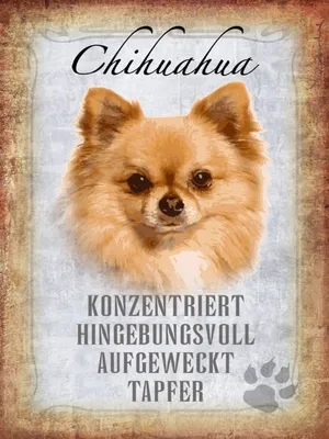 Produktbild von vianmo Holzschild 40x30 cm Chihuahua Hund tapfer