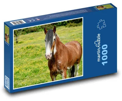Obrázek produktu pro Puzzle 1000 Kůň na louce - martinpuzzle