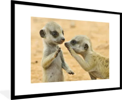 Produktbild von MuchoWow® MuchoWow® Gerahmtes Poster Erdmännchen - Braun - Tier 90x60 cm - Poster mit zchwarzem Bilderrahmen - Wanddekoration - Fotos