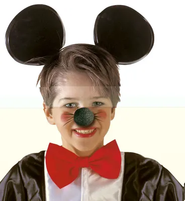 Produktbild von Maus Nase