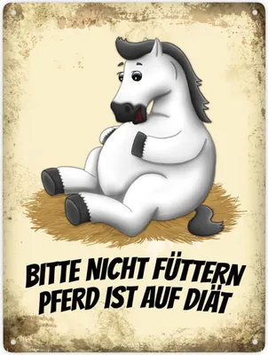 Produktbild von Bitte nicht füttern - Pferd ist auf Diät Metallschild XXL mit weißem Pferd Motiv