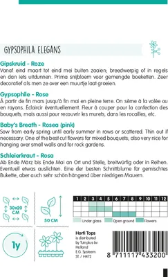 Produktbild von Schleierkraut Rosa | Blumensamen von Hortitops