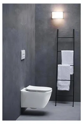Produktbild von Tesi WC-Sitz mit Absenkautomatik, Deckel mit Edelstahl-Scharnieren, Weiß