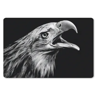 Produktbild von MuchoWow® Schreibtischunterlage Adler - Porträt - Raubvögel - Schwarz - Weiß - Vogel 60x40 cm - XXL Mauspad - Großes Mauspad