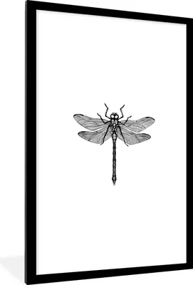 Produktbild von MuchoWow® Gerahmtes Poster Libelle - Insekten - Retro - Schwarz und weiß 60x90 cm - Poster mit Schwarzem Bilderrahmen Wandposter Rahmen Foto Bilder - Dekoration - Wandposter Wohnzimmer - Hochwertig