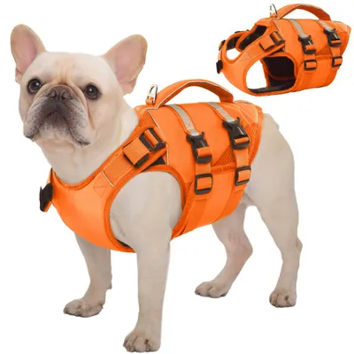 Rettungsschwimmweste für Hunde, Orange, M, mit Auftrieb