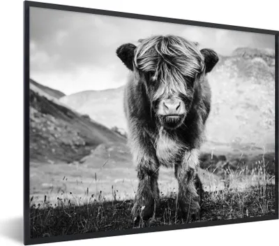 Produktbild von MuchoWow® Gerahmtes Poster Schottischer Highlander - Berg - Schwarz - Weiß 80x60 cm - Poster mit Schwarzem Bilderrahmen Wandposter Rahmen Foto Bilder - Schwarzem - Mit Gestell