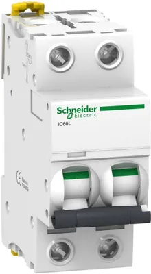 Immagine prodotto di Interruttore LS Schneider Electric A9F94206