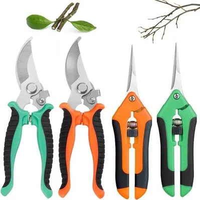 Immagine prodotto di Forbici da giardino Set di forbici per bonsai per piante, frutta e verdura