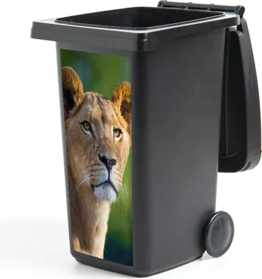 Produktbild von MuchoWow® Mülltonnenaufkleber Porträt - Löwe - Wild 38x80 cm - Behälteraufkleber - Mülleimer-Aufkleber - Container-Aufkleber