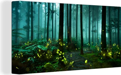 Obrázok produktu pre MuchoWow® - Plátno - Svetlušky rozsvecujú les, nástenná maľba, nástenné dekorácie obrazy obývacia izba, 80x40cm