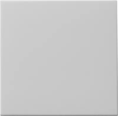 Produktbild von Gira Wippe Tastschalter grau 0916015 (0916015)