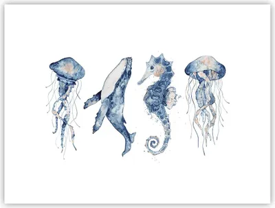 Produktbild von Poster - Poster ohne Rahmen - Tiere Marine Kinder - 40x30 cm - Wand Bild - Wanddeko - Wandbilder - Kunstposter - Wandposter - Bilder - Kunstdruck - Wanddekoration - Wandbild - P2XAA40x30-4262