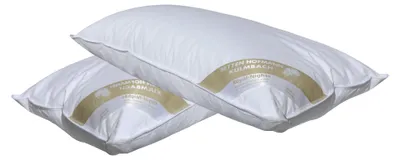 Produktbild von 2 Stück Betten Hofmann Basic Allergiker Kopfkissen Faserkissen 40x80 cm 450 g
