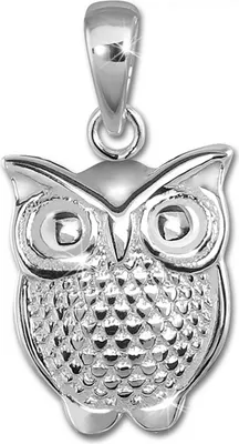 Produktbild von Teenie-Weenie Anhänger Eule für Ketten TW 925 Silber Kinderschmuck D2SDH415J