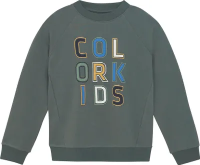 Produktbild von COLOR KIDS COSweat W. JR. Logo Print Uni Kinder Pullover Sweater Baumwollmischung regular fit