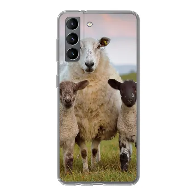 Produktbild von MuchoWow® Handyhülle Schutzhülle Hülle für Samsung Galaxy S21 Schafe - Natur - Schwarz - Weiß Silikon Softcase Handy Hülle - Softcase