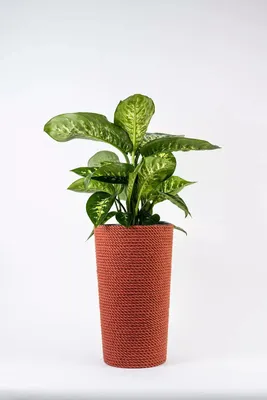 Produktbild von ADONI Handgefertigter Jute-Blumentopf mit Einsatz (47 cm) – Dekorativer Boho-Übertopf für Zimmerpflanzen, Rot