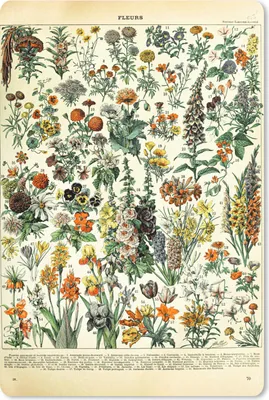 Produktbild von MuchoWow® Mauspad Mousepad Blumen - Pflanzen - Vintage - Adolphe Millot - Kunst 18x27 cm - Mousepads - Maus Mat - Pad - Mausunterlage