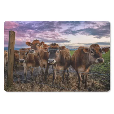 Produktbild von MuchoWow® Schreibtischunterlage Kuh - Tiere - Kühe 60x40 cm - XXL Mauspad - Großes Mauspad