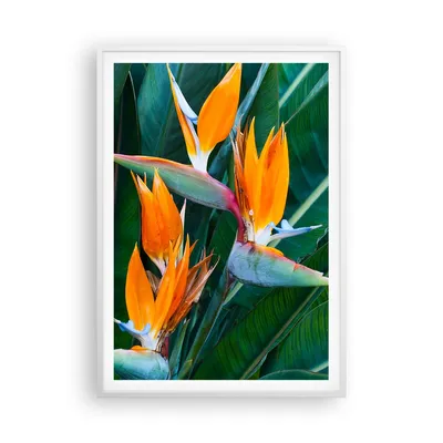 Produktbild von Gerahmtes Poster - Weißer Rahmen - Himmlisch Vogel Blume - 70x100 cm - Wand Bild - Wanddeko - Wandbilder - Kunstposter - Wandposter - Bilderrahmen - Bilder - Kunstdruck - P2WPA70x100-4980