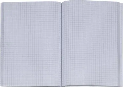 An open notebook with grid paper.
