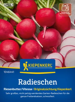 Produktbild von Radieschen Riesenbutter/Vitessa | Radieschensamen von Kiepenkerl