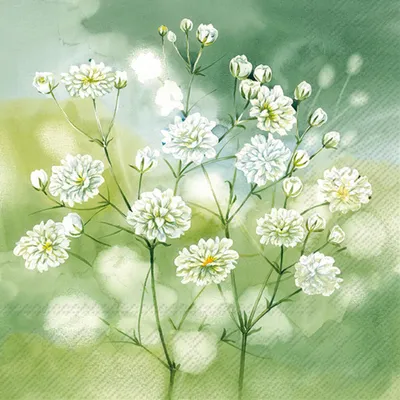 Produktbild von Serviette "Little Beauties"