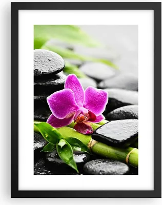 Produktbild von Gerahmtes Poster - Schwarzer Rahmen - Pflanze Steine Bambus Spa - 30x40 cm - Wand Bild - Wanddeko - Wandbilder - Wandposter - Bilderrahmen - Bilder - Kunstdruck - Wandbild - P2BPA30x40-2681