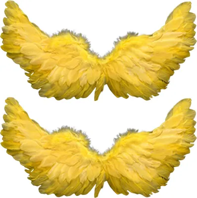 Two yellow feather wings are displayed against a white background.