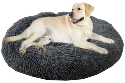 Immagine prodotto di Cuccia per cani, cuccia per gatti, forma a ciambella, rotonda, lavabile, morbida, diametro 40 cm, grigio scuro