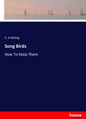 Produktbild von Song Birds