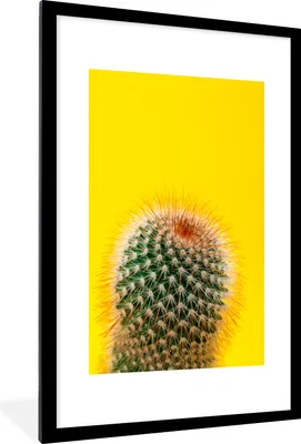 Produktbild von MuchoWow® MuchoWow® Gerahmtes Poster Kaktus mit rot 60x90 cm - Poster mit zchwarzem Bilderrahmen - Dekoration - Wandposter Wohnzimmer - Hochwertig