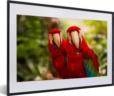 Produktbild von MuchoWow® MuchoWow® Gerahmtes Poster Papageien - Vögel - Dschungel 60x40 cm - Poster mit zchwarzem Bilderrahmen - Schlafzimmer - Plakat in Rahmen - Drucken