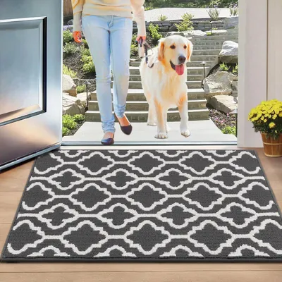 Obrázek produktu pro Podlahová rohož do interiéru, 60 x 90 cm, tmavě šedá, omyvatelná, protiskluzová, savá