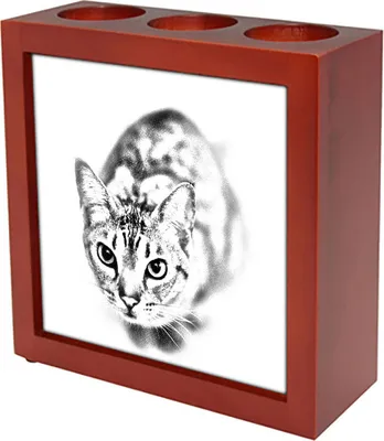 Productafbeelding van Art-Dog Pennenhouder – Ocicat