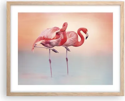 Produktbild von Gerahmtes Poster - Rahmen in heller Eiche - Flamingos Exotik Vögel - 50x40 cm - Wand Bild - Wanddeko - Wandbilder - Kunstposter - Wandposter - Bilderrahmen - Bilder - Kunstdruck - P2NAA50x40-5044