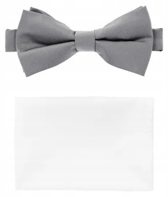 Produktbild von Lancerto Herren Fliege Grau mit Einstecktuch Set