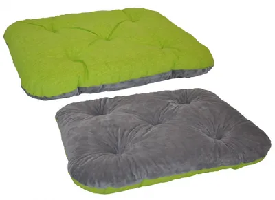 Obrázek produktu pro Podložka pro psa AXIN Deluxe 60x50 cm - světle zelená