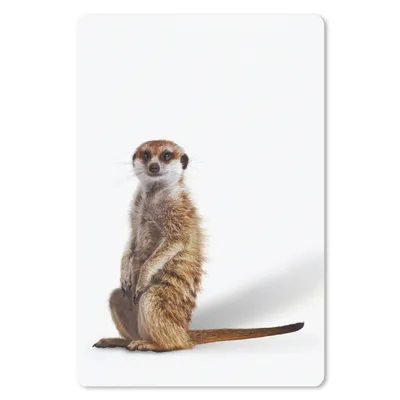 Produktbild von MuchoWow® Mauspad Mousepad Erdmännchen - Tiere - Fell 40x60 cm - Mousepads - Maus Mat - Pad - Mausunterlage - Schreibtisch Accesoire