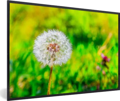 Produktbild von MuchoWow® Gerahmtes Poster Löwenzahn - Gras - Blume 90x60 cm - Poster mit Schwarzem Bilderrahmen Wandposter Rahmen Foto Bilder - Fotorahmen - Foto-Plakat