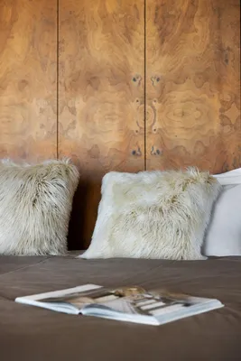 Image de Coussin Meirs