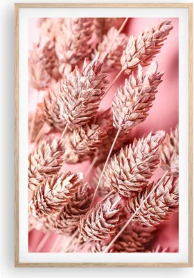 Produktbild von Gerahmtes Poster - Rahmen in heller Eiche - Klinge Gras getrocknet - 61x91,5 cm - Wand Bild - Wanddeko - Wandbilder - Kunstposter - Wandposter - Bilderrahmen - Bilder - Kunstdruck - P2NPA61x91-5120