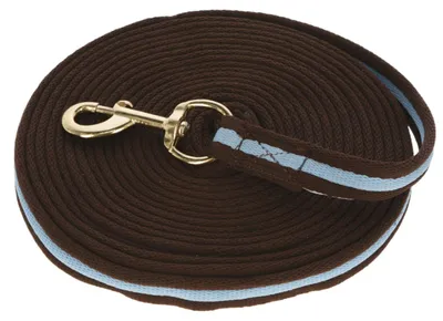 Immagine prodotto di Kerbl Longierleine Softlonge 8m Mischgewebe, Handschlaufe braun/hellblau 3222119