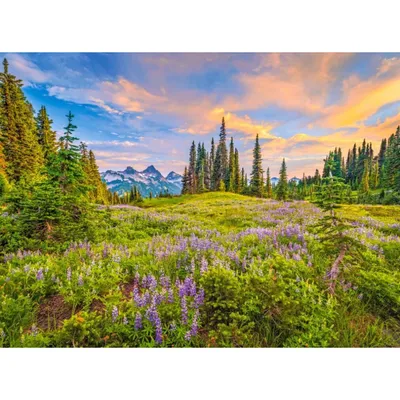 Image de Puzzle de 2000 pièces - Fleurs du matin