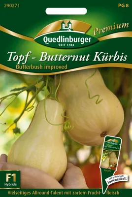 Artikelbild 1 von 'Topf-Butternut Kürbis Butterbush improved F1'